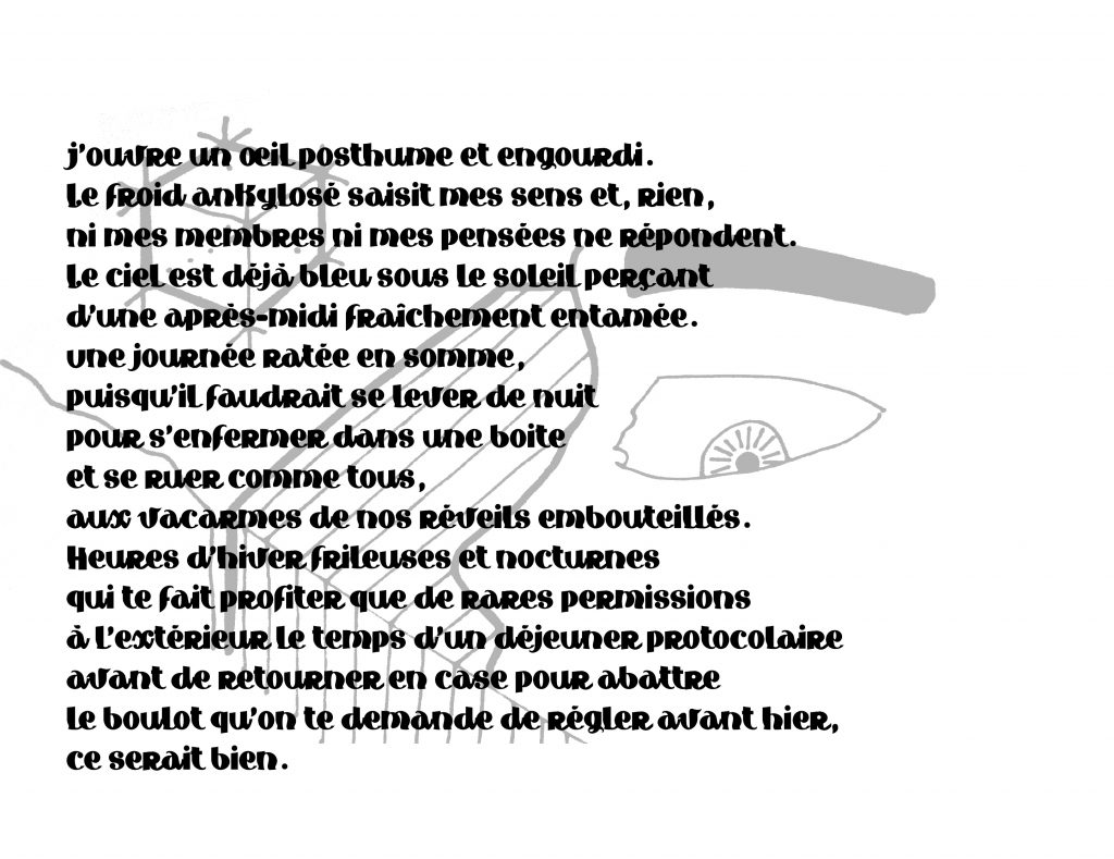 Cette image contient un texte mis en forme en noir et blanc, sur fond dessiné en gris. Le texte est lu dans l'émission L01 Ligneux.